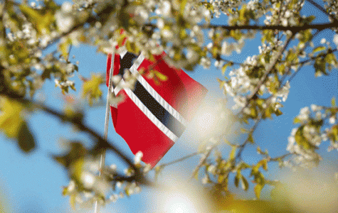 17mai